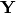 \mathbf{Y}